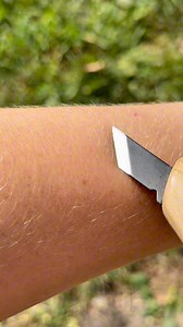 7.5K views · 78 reactions | Sharp as a razor… Friday knife sharpening 落. #knife #life #hobbies #wood #carving #fun #reels #sharp #akashino #angiefix | Angie Kashino | Facebook