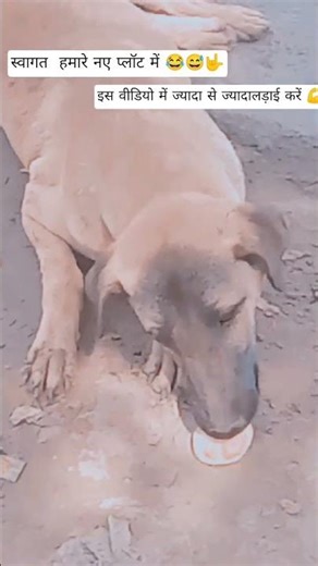 28 फ़रवरी 2026