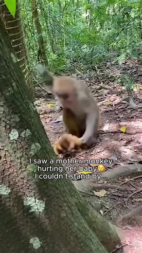 A Life-Changing Moment with a Trembling Animal