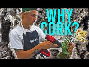 Why Mounting Plants on CORK BARK is Best!