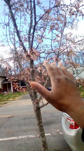 she loves me she loves me not ❤️💞😚