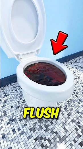 Are You Pressing the Wrong Flush Button 😬