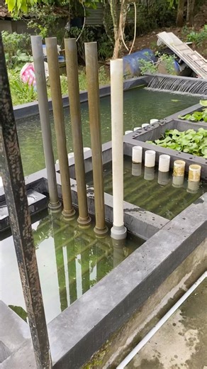 Bypass chamber filter system