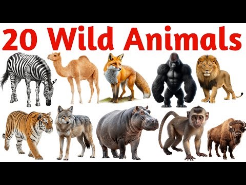 जंगली जानवरों के नाम | Wild Animals Name for Kids | Learn 20 Wild Animals Pictures & Sounds