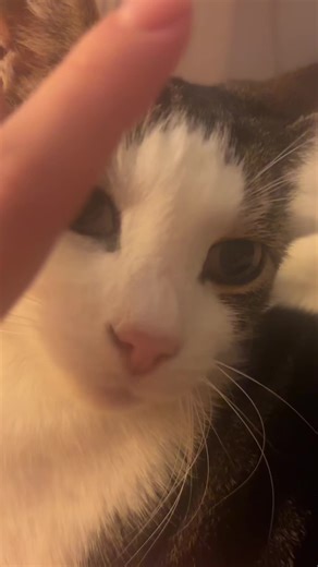 Princesspeachyxo (@princess.peachxo)’s videos with LOVE - Gemma Weston