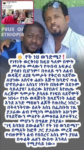 Pulse of Ethiopa #shorts #PulseofEthiopia #Ethiopia #ethiopianews #habesha #ethiopian