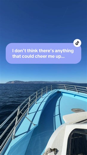 Catalina Island is the most magical place that is shared to put a smile on your face. When you’re here be sure to check out the Catalina Museum to learn about the islands history and art. #CatalinaIsland #catalina #avalon #socal