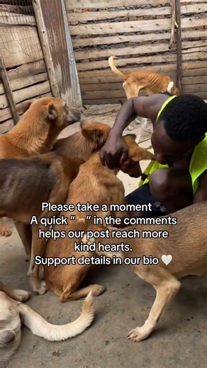 Support me ❤️ Every little donation helps me keep going. Donate via PayPal 🔗 in my bio 🙏 #fyp