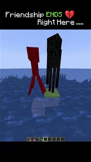 Minecraft Friendship in 6 Seconds 💀😂