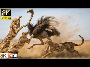 ANIMALS BEST MOMENTS 8K | WILDLIFE in AMAZON JUNGLE | ANIMALS OF AMAZON JUNGLE RAINFOREST