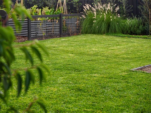 6 Ideas To Clean Up Your Backyard - Bunnings Australia