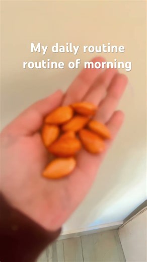 My morning routine every day