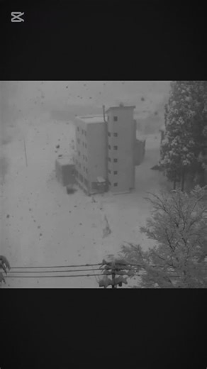 snow leopards in da mountains ☆ shh ignore the offbeat you didn't see it. #snowleopard #cat #edit #animal #bigcat ....................keywords: cats, snow leopard, wild cats, big cats, animals, spirit animals, feline, me core, zoology, trending, The snow leopard (Panthera uncia) is a species of large cat in the genus Panthera of the family Felidae. The species is native to the mountain ranges of Central and South Asia. It is listed as Vulnerable on the IUCN Red List because the global population