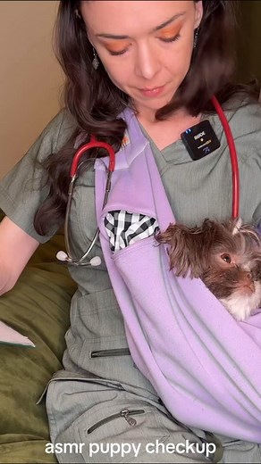 asmr puppy check #asmr #asmrsound #asmrsounds #asmrsoundsdaily #asmrsoundsgirl #asmrsoundsontiktok #asmrvideos #asmrvideos #asmrvideosounds #asmrvids #asmrvid #asmrtiktok #asmrtiktoks🦋asmr🦋 #asmrtiktokvideo #asmrtiktoks #asmrsharpordull #asmrsensory #asmrsensationtest #asmrsensations #asmrpov #asmrmedical #asmrmedicalroleplay #asmrmedicalexam #asmrnurse #asmrdoc #asmrdoctor #asmrdoctorroleplay #asmr_tingles #asmrtingle #asmrtingles #asmrtinglesforsleep #asmrtinglesvideos #tingle #tingles #ting
