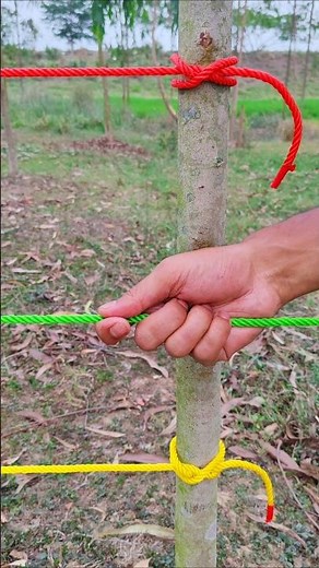 Popular Knot — Easy, Fast & Super Reliable! (Never Fails!)