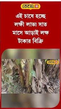 Bangla News | এই চাষে হচ্ছে লক্ষী লাভ! সাত মাসে আড়াই লক্ষ টাকার বিক্রি | #farming #local18shorts