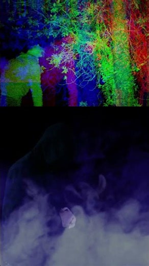 O MISTÉRIO DO BLIND FROG RANCH