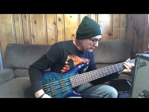 Ibanez ANB 306 - The Adam Nitti Bass Review