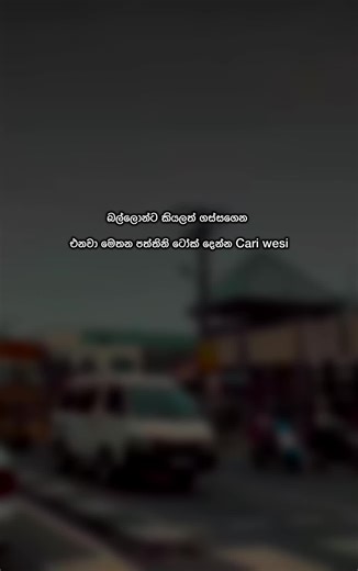 Podda official on TikTok