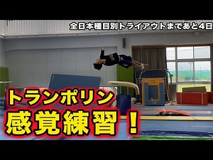 【体操】トランポリンで感覚練習。前方3回捻り。