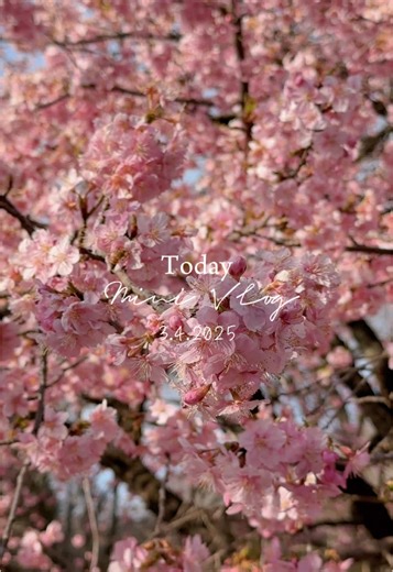 Tokyo's weather: March 8th. Cloudy ☁️ until 16:00 then 40% rain till evening.