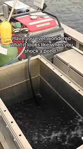 Such a cool experience that taught me a lot about fish habitat & management #fish #fishing #fishtok #fishinglife #pond | Danny Fane - LandGuys Iowa Managing Broker