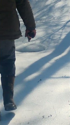 Firecracker In Block Of Ice #fireworks #shorts #firecrackers