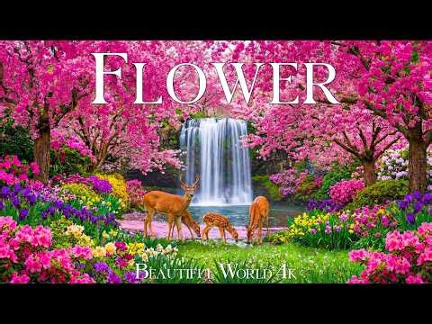 Flowers in April 4K – Early Spring 2026 🌸 Blooming Waterfalls, Sakura Rivers & Radiant Morning Light