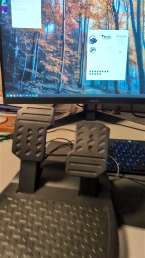 Thrustmaster T150 Test
