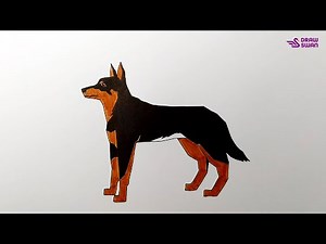 How to draw a Kelpie dog