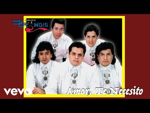 Grupo Bryndis - Amor, Te Necesito (Visualizer)