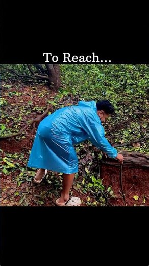 The Reverse Waterfall Trek That Will Leave You Breathless! 🌧️😲 #shorts #maharashtra