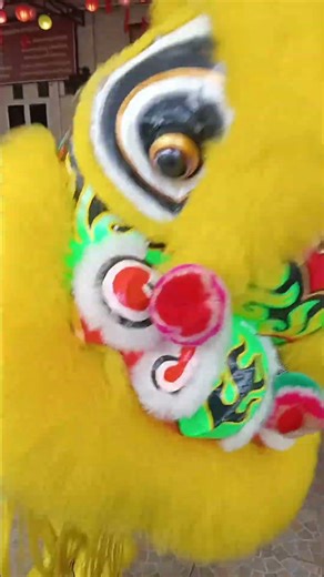 #samanta bhadra#vihara#imlek#2026#acara#sriwijaya#barongsai#chinese lunar#new year#festival