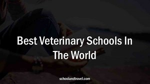 7  Best Veterinary Schools In The World (Duration, FAQs) | 2023