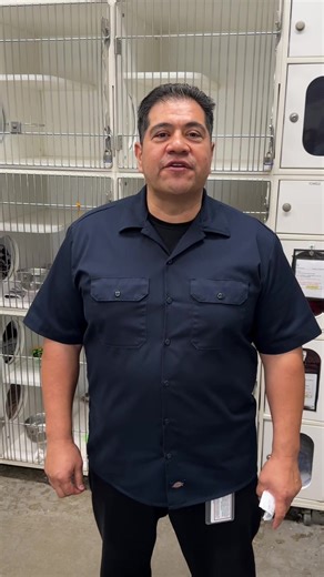 Exciting Updates from Ventura County Animal Services 2026