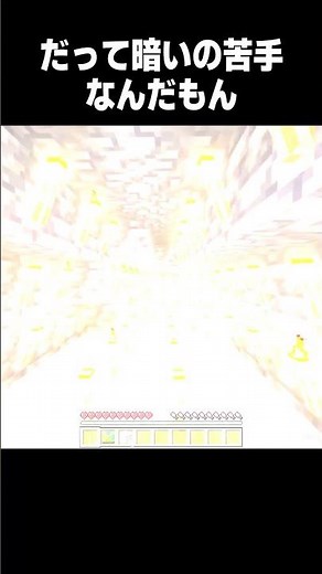 Morning light level max #minecraft #Minecraft #shorts