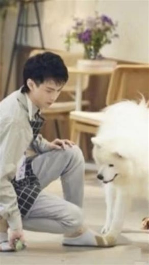 #名侦探学院第二季 之#Timo 的成长日记（最后一期）#院人 #燕子明学 @晚雪 @晚春 @晚夏 @晚秋 @晚冬