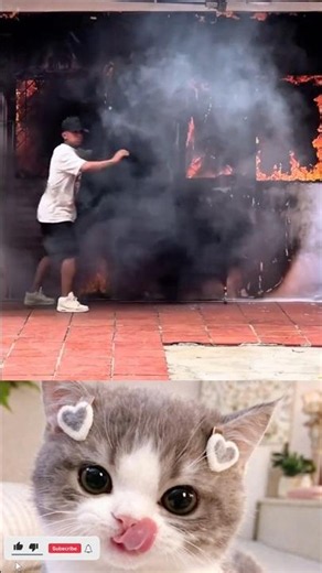 He thought it was a real fire! 😱🔥 #shorts #prank #funny