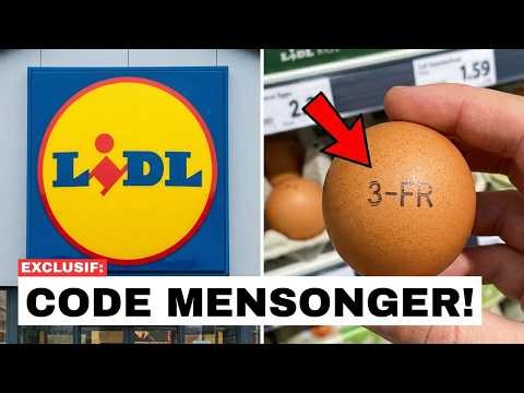 7 Marques d'Œufs à Éviter en Supermarché (mais 2 Valent Vraiment le Prix)