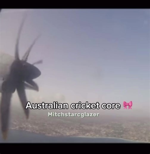 Australian Cricket Insights: Learn About Mitch Starc