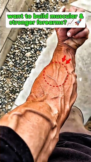 want to build muscular & stronger forearms ? 😡 #handgripper #forearms #veins # gripstrength
