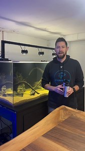 The two chemicals I always use in my fish room: dechlorinator and beneficial bacteria. The two shown in this video are Erase CL and MicroBacter from Brightwell Aquatics | Cichlid Bros