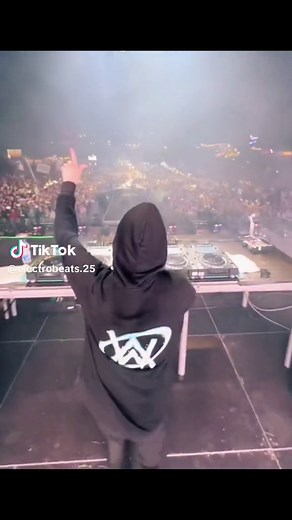 Alan Walker DJ Performance at Outdoor Concert