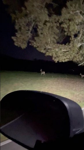 I feel like I made the man upstairs or. Someone mad!!! lol #deerhunting #hunting #funny