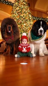 Baby Trick Shot Causes Puppy Explosion! #DosHub #SuperCjP #BabyAndPets #CuteBabyVideos #FunnyPets #BabyLaugh #AdorablePets #fyp #foryoupage #funny #ViralVideo | Justin Do