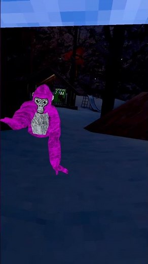 TOTALLY REAL DAISY09 AND PBBV GHOST SIGHTING #gorillatag #gtag #monke #vr #funny