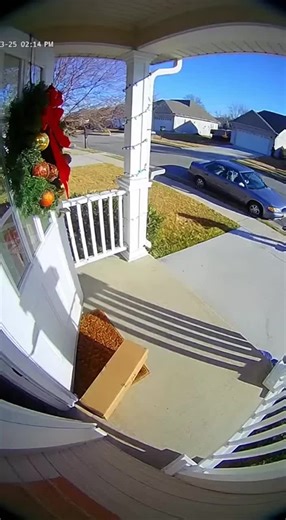 Porch exploding package box with glitter🏳️‍🌈✨🦄#porchpiratecaught #glitter #package #prank #fyp