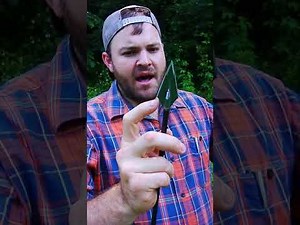 Bear whitetail hunter