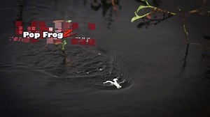6.2K views · 283 reactions | Here’s an old school Pop FrogZ video from about 8 years ago with our boy @lukeclausen back when he was with FLW #archives #popfrogz #zmanfishing #elaztech #10xtough #madeinusa | Z-Man Fishing Products | Facebook