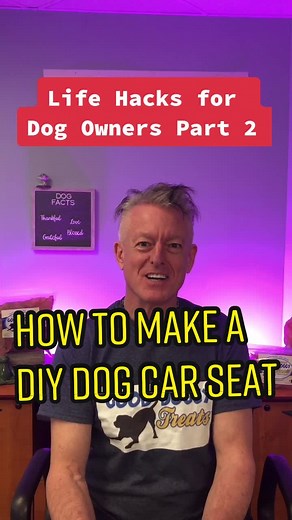 Life Hacks for Dog Owners Part 2 #gooddoggytreats #dogtreat #dogtreats #dogtraining #doghack #doghacks #dogowner #dogowners #doglifehack #pethacks